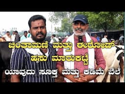 ಅತೀ ಕಡಿಮೆ ಬೆಲೆಗೆ ಇಲ್ಲಿ ಒಳ್ಳೆ ಹಸುಗಳು ಸಿಗುತ್ತವೆ|cow Market|chintamani cow market|erode cow market|farm