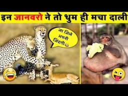 😜इन जानवरों ने तो सच में मौज ही कर दी | Indian Animal Funny Videos 2022 | Funny animal videos