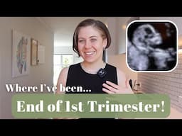 1st Trimester Update || Ultrasound, Food, Visa, House