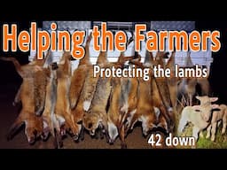 Out Helping the Farmers || Protecting the Lambs