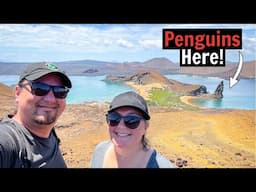 Swimming with Penguins on Bartolome Island, Galapagos