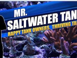 Mr. Saltwater Tank TV Live Stream