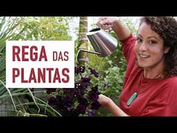 TRUQUES de OURO para MELHORAR a REGA das PLANTAS