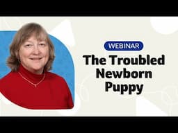 The Troubled Puppy Webinar