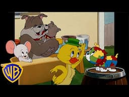 Tom & Jerry em Português 🇧🇷 | Brasil | Crianças, é Hora de Brilhar! 🐶🐣✨ | @WBKidsBrasil​