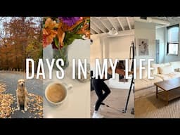 VLOG: furniture delivery, getting back into routine, cleaning, etc.