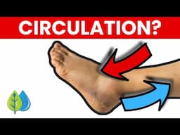 6 Easiest Exercises To Instantly Improve Leg Circulation