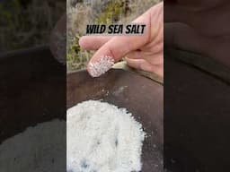 Soon you’ll see the unique way I collect salt from the ocean. This salt is so good.