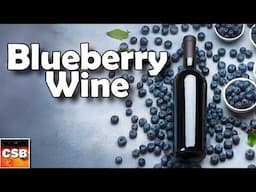 What to Know When Fermenting Fruit -Blueberry Wine One Year