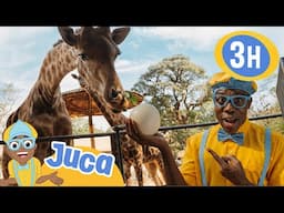 Juca vizita o Zoológico 🦒| JUCA BRASIL! | Vídeos Educativos para Crianças