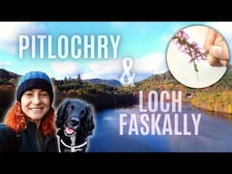 LOCH FASKALLY WALK | Pitlochry, Scotland | Painting Scottish Heather in Watercolour | Ep42