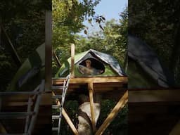 Sleeping in the trees but connected to the ground. #treehouse #treehouselife #treefort #glamping