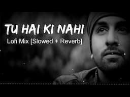 Tu Hai Ki Nahi (Slowed+Reverb) | Ankit Tiwari | Roy | musichub2.0