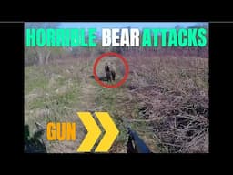 BEAR ATTACKS 2024 / HORRIBLE BEAR ATTACKS / ANIMALS ATTACKS ON HUMAN 2024