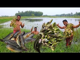 ডোবা থেকে শাপলা তুলে পাকা হলুদ কৈ মাছ দিয়ে জমিয়ে রান্না করে খাওয়া | Climbing perch & water lily