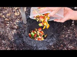 Just Bury Food Scraps Under Your Plants and This Happens