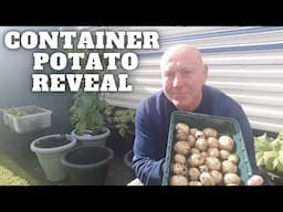 Container Potato Reveal Container Gardening