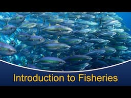 Marine Biology at Home 9: Introduction to Fisheries