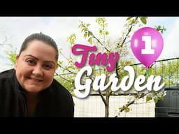 Spring in my small garden | The Tiny Garden