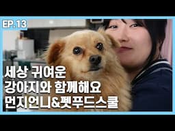 세상 귀여운 강아지들과 함께! 먼지언니&펫푸드스쿨