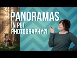 Panoramas in Pet Photography? More than just landscapes!