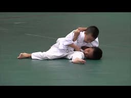 Judo Ippon 2