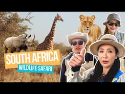 UNBELIEVABLE WILDLIFE ENCOUNTERS IN SOUTH AFRICA!  🦁 (Wildlife Safari) | JAMIE CHUA