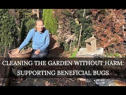 Finding Harmony: Balancing Garden Clean-Up with Protecting Beneficial Bugs + my bulb selection