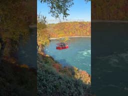 Niagara Whirlpool Aero Car fall color views 🤩🍁#niagarafalls #fallcolors