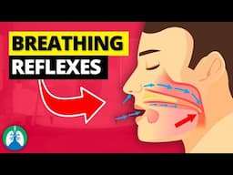 Top 7 Breathing Reflexes of the Human Body