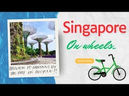 Cycling Singapore: 20km Ride from Hillview to gardens by the Bay | Scenic Adventure