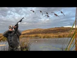 Tucked in the Cattails: A Beautiful Remote Marsh - Full Immersion Duck Hunt!