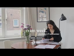 an exam week in my final year of psychology at maastricht university | study tips for exams