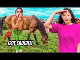 We Played Extreme Hide and Seek with Horses! (Will We Get Caught?)