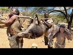 WILD Bush Pig HUNT with Hadzabe Tribe in 2024!