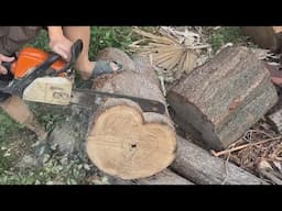 Unique Design Ideas From Dry Branches And Trunks // Amazing DIY Woodworking Projects