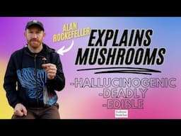 Alan Rockefeller Explains Mushrooms- Hallucinogenic, Deadly, Edible