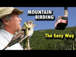 BIRDING on Mountaintops the EASY Way