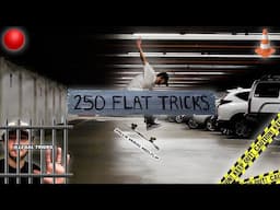 250 FLATGROUND SKATEBOARDING TRICKS