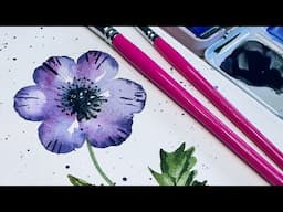 Fun & vibrant beginners watercolor anemone drawing & painting