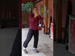 Brain Longevity #kungfu #qigong