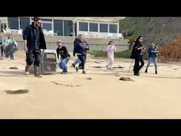 Basil the harbor seal gets released!