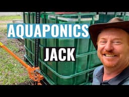 Starting a home IBC Aquaponics system with a Fishless Cycle