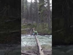 You need to see this river crossing!  #backpacking #idaho #thruhiking #hiking #shorts