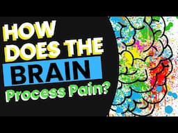 How Does the Brain Process Pain