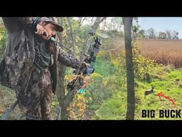 Bow Hunting Whitetails in Western Illinois | Close Calls