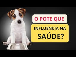 Cachorro com várias feridas parecendo espinhas na boca - É só trocar o pote?