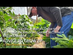 Advice to Grow By Ep 4:  Choosing Tomatoes, Straw Bales, Falkirk Garden, Master Gardener Training