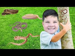 CALEB FOUND a SNAKE on our BUG HUNT!