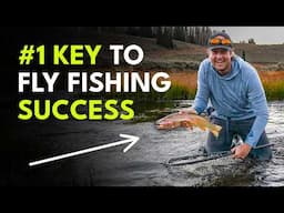 Game-Changing Presentation Tips for Fly Fishing Success | Module 2, Section 2